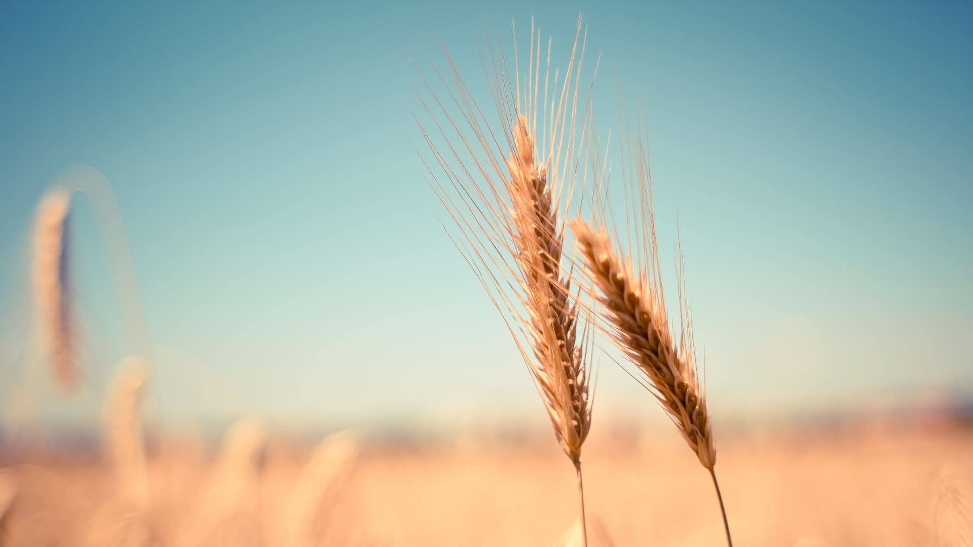 <span class="translation_missing" title="translation missing: en.pages.about_us.alt_background">Alt Background</span>