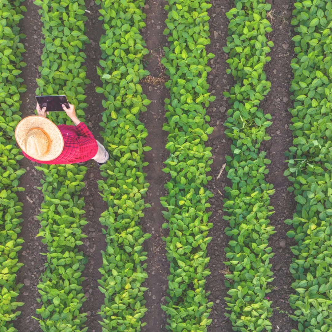 Sign up background image