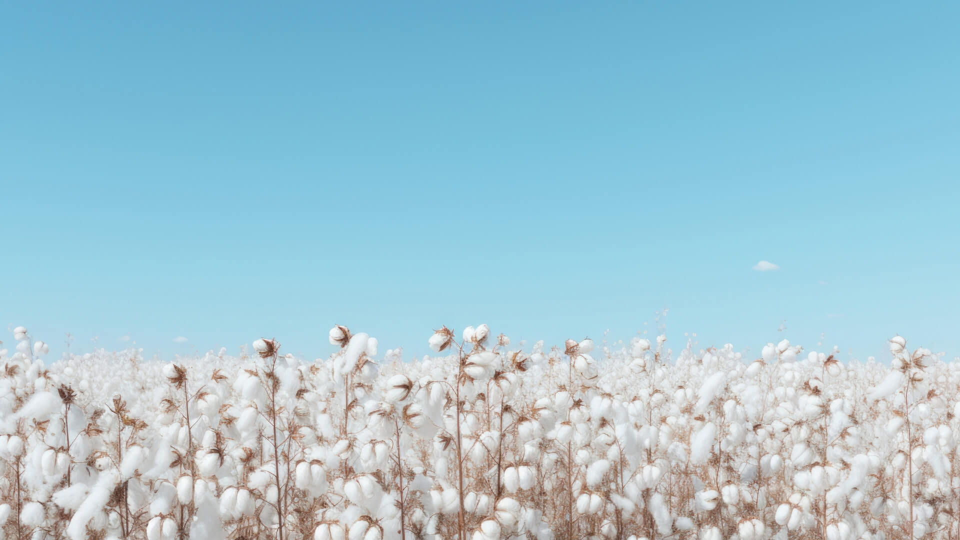 Desktop background image