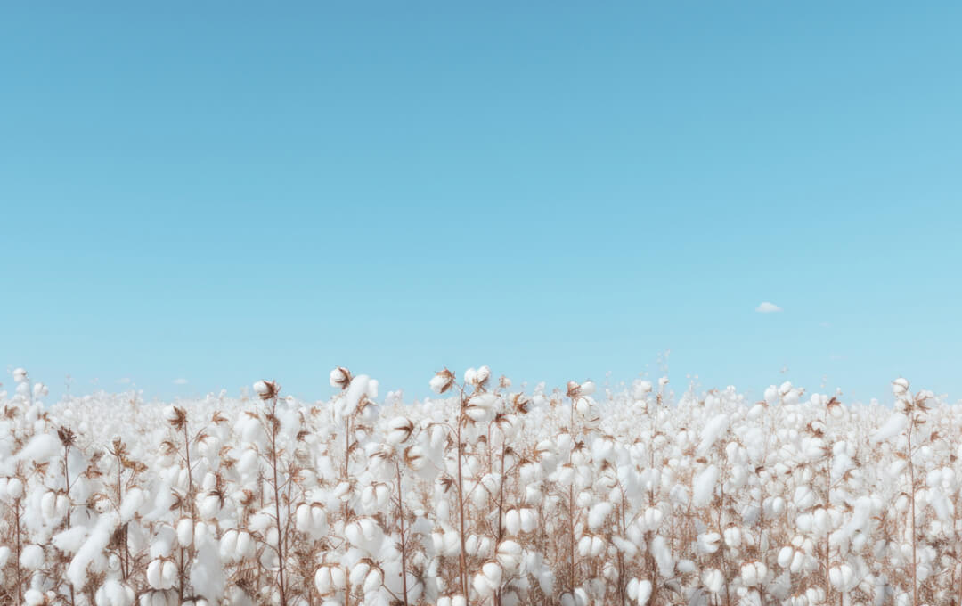 Mobile background image