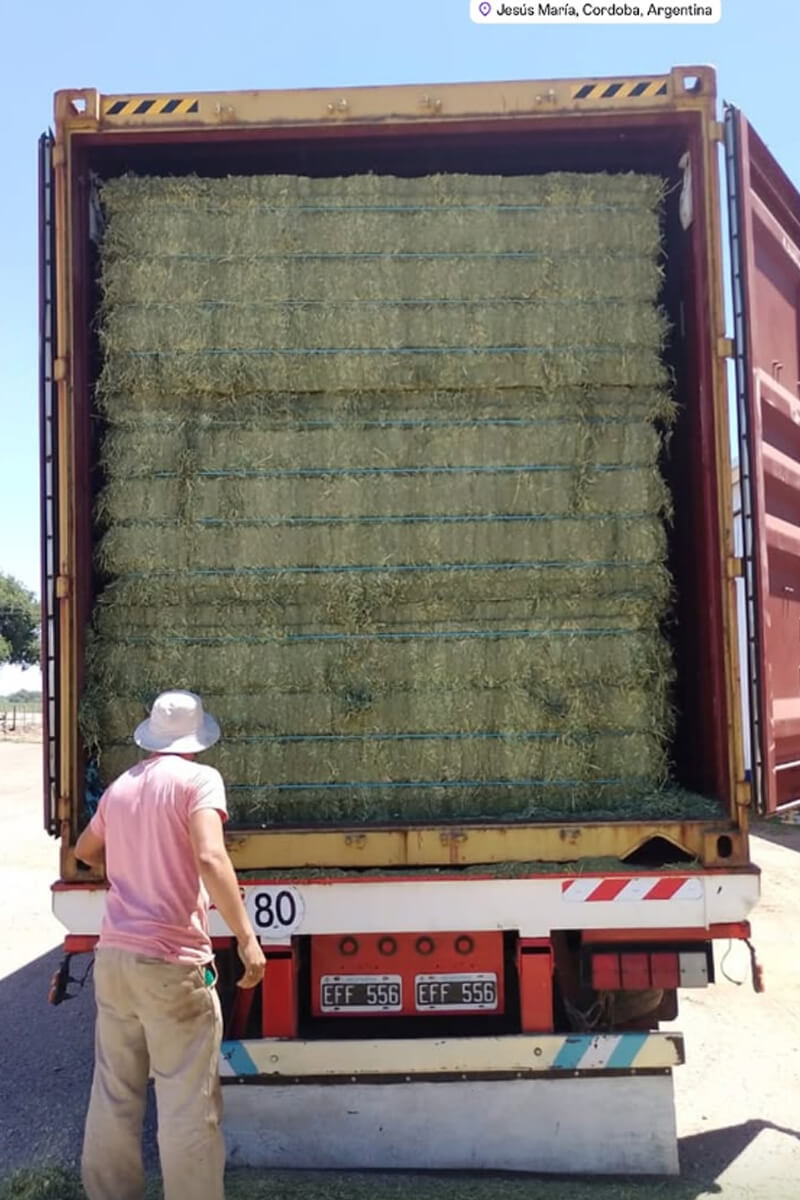 Loading alfalfa